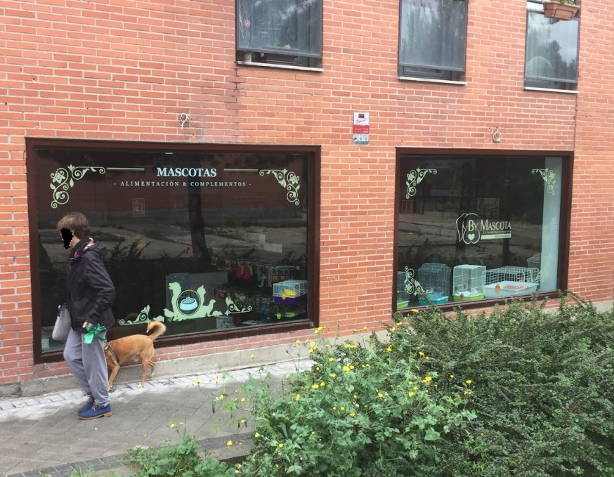 Galería de imágenes